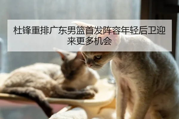 杜锋重排广东男篮首发阵容年轻后卫迎来更多机会