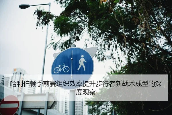 哈利伯顿季前赛组织效率提升步行者新战术成型的深度观察